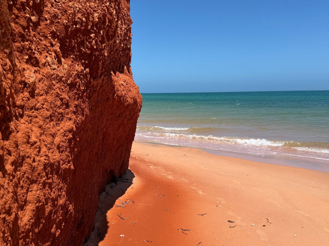 Shark Bay Coastal Tours-德纳姆必去景点