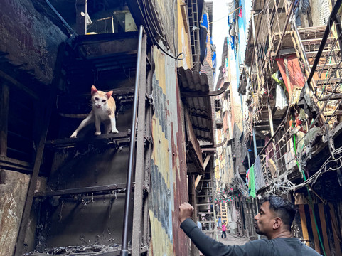 Mystical Mumbai-孟买必去景点