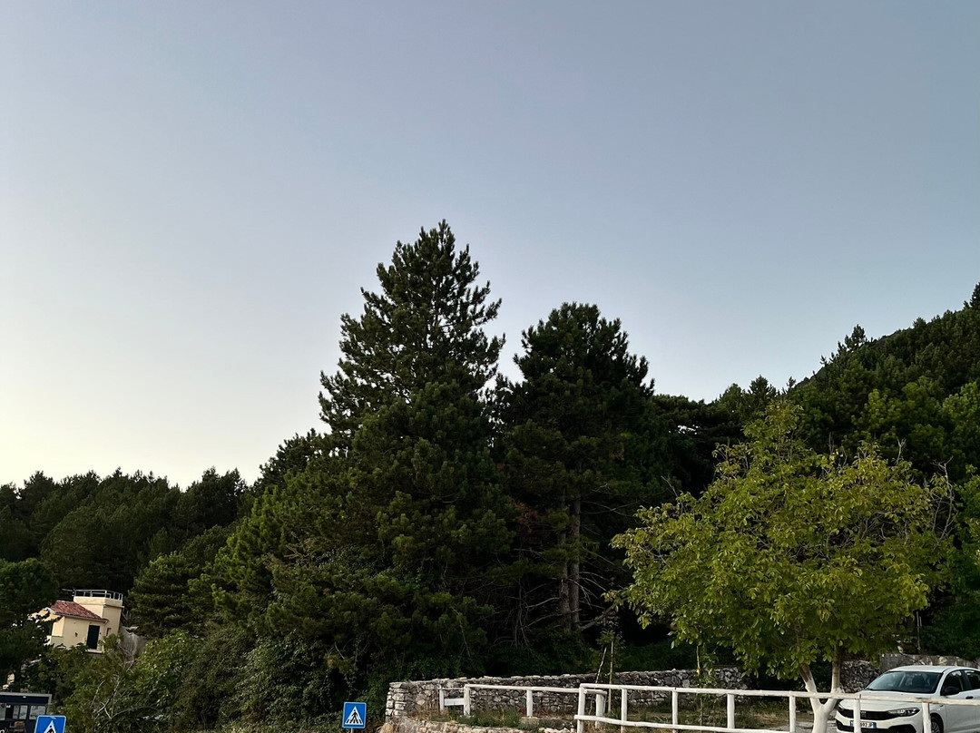 Llogara Pass-Palase必去景点