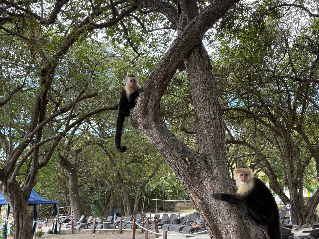Blessing Tours-Area de Conservacion Guanacaste必去景点