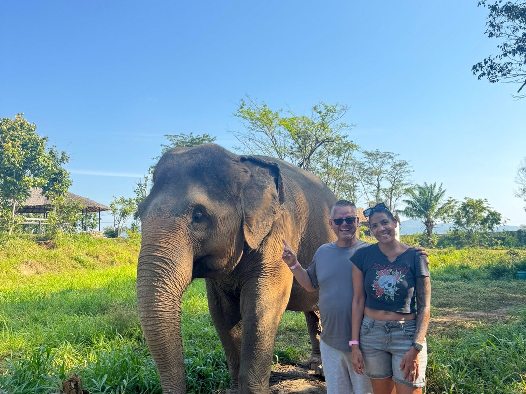 Phuket Elephant Nature Reserve-他朗必去景点