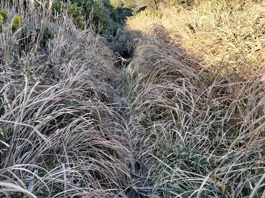 Ohazuki Coast-御宿町必去景点