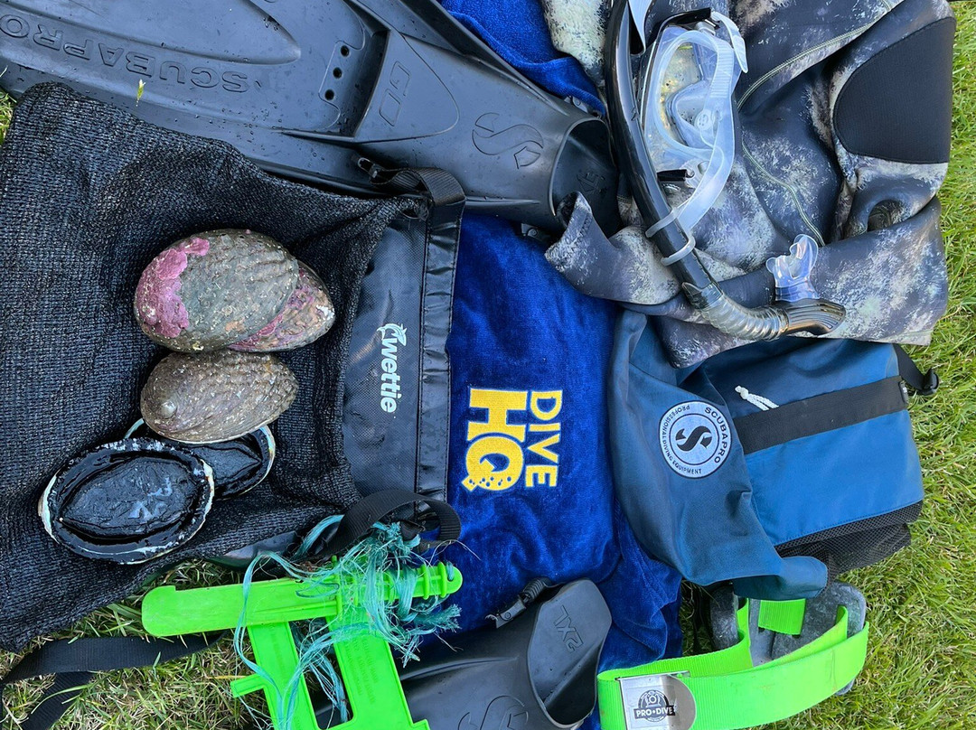 Dive HQ Wellington-下赫特必去景点