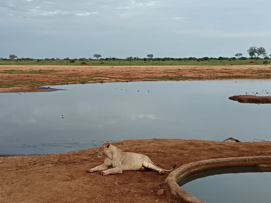 Erick  Safari Kenya-瓦塔木必去景点