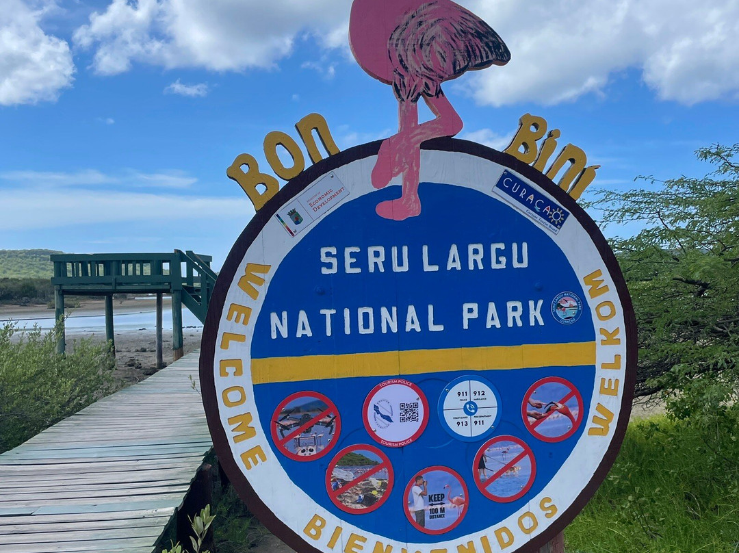 Flamingo Sanctuary Sint Willibrordus-Sint Willibrordus必去景点