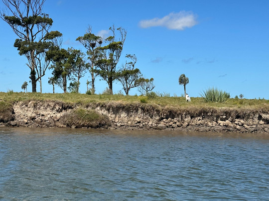 Monte de Ombues-Rocha必去景点