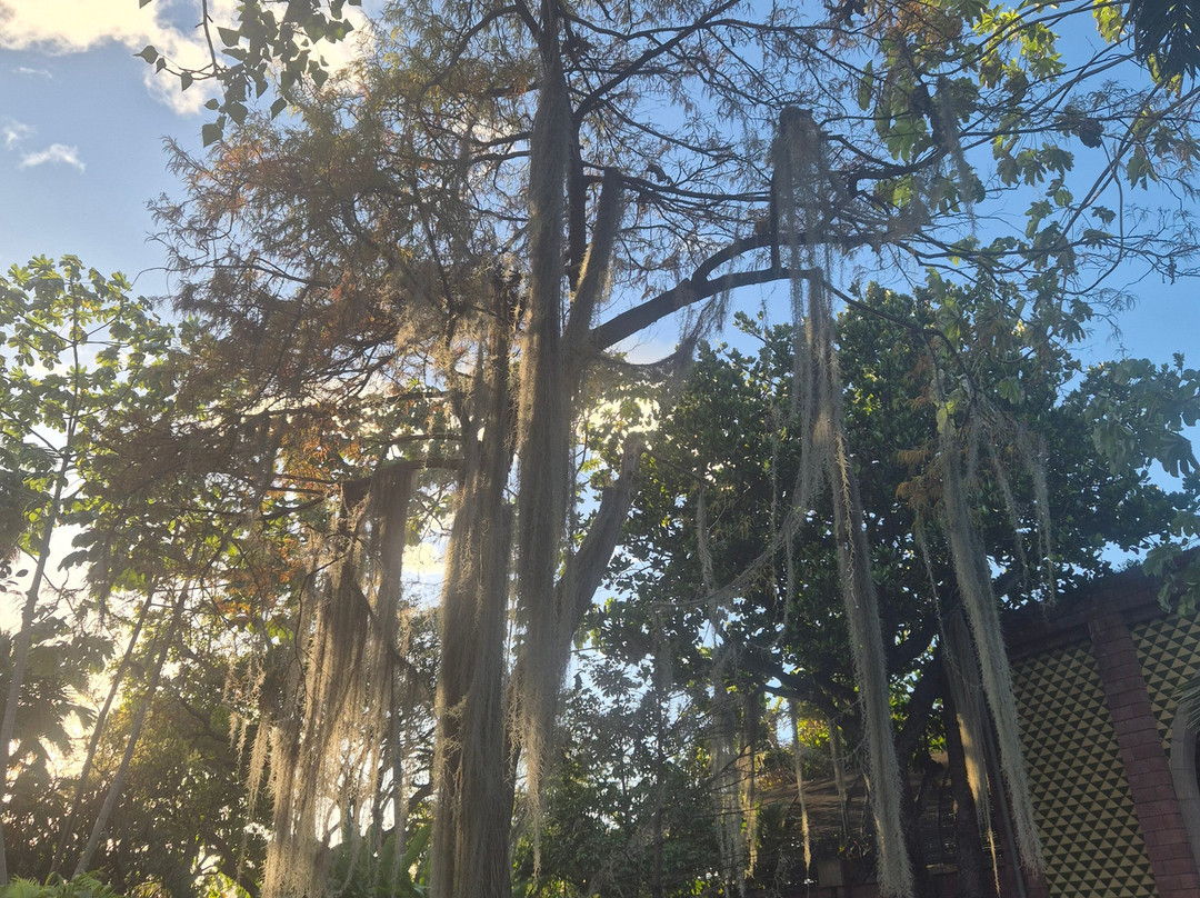 Botanischer Garten-德拉克鲁兹索尔港必去景点