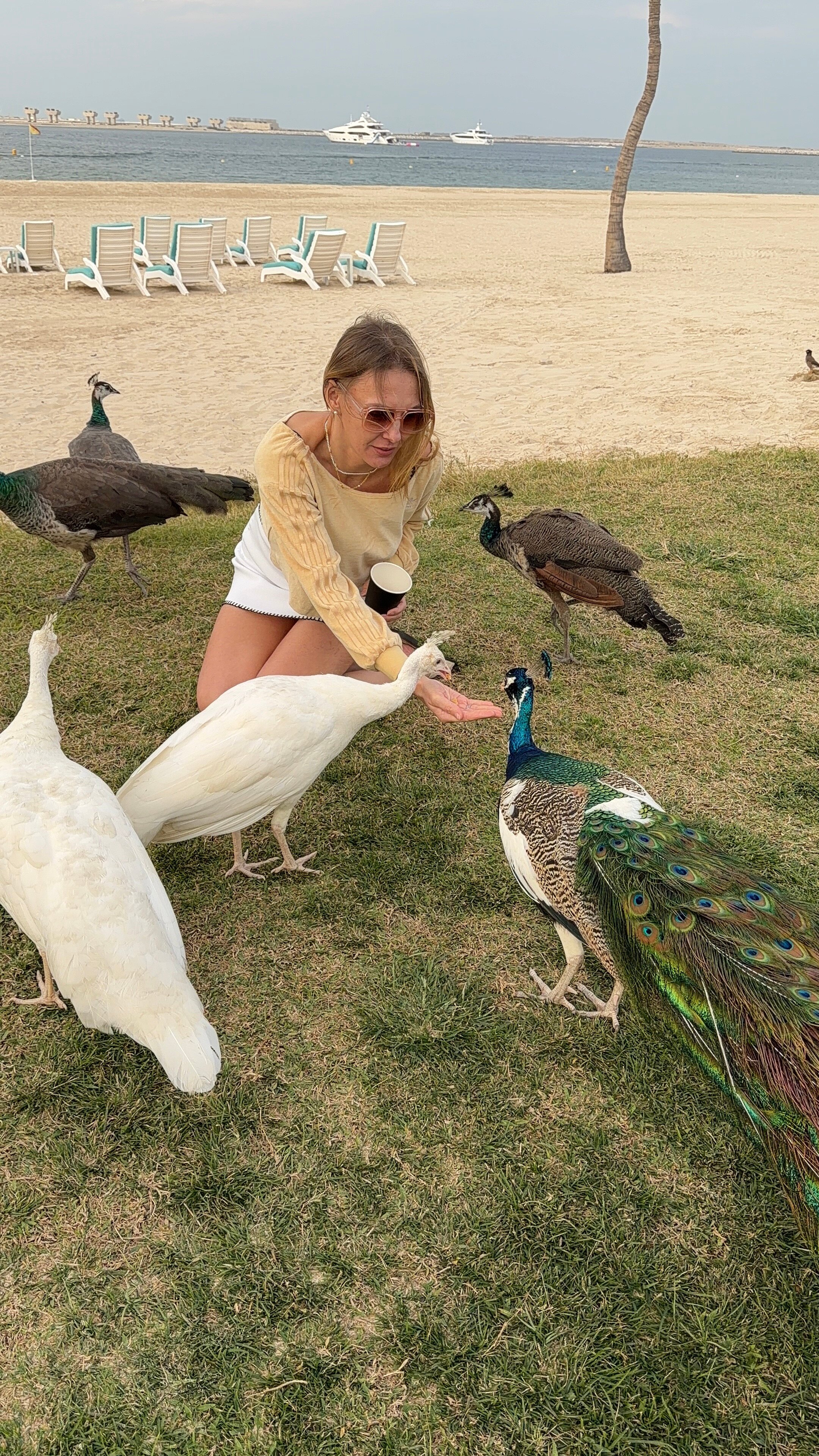 棕榈树水疗酒店-官方
