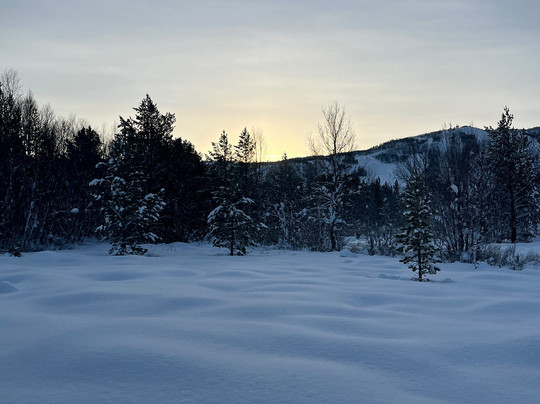 Geilo Husky Day Tours-耶卢必去景点