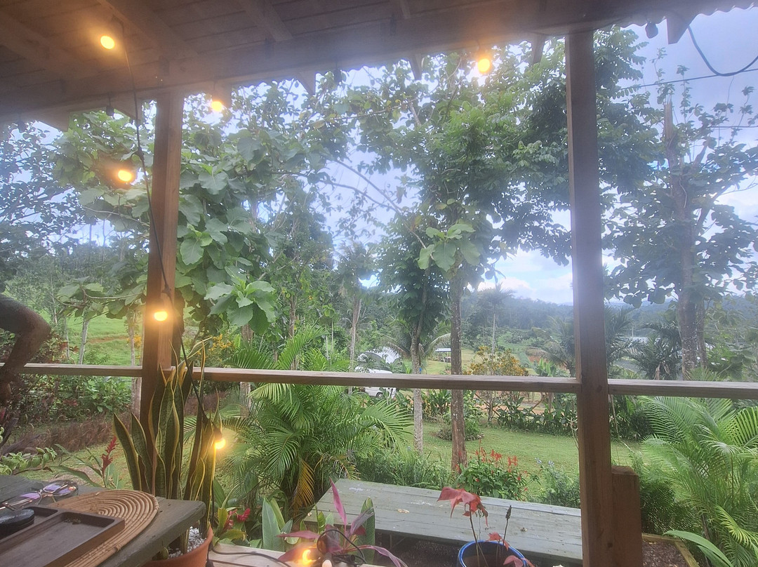 Jacana Farm Tours-奥乔里奥斯必去景点