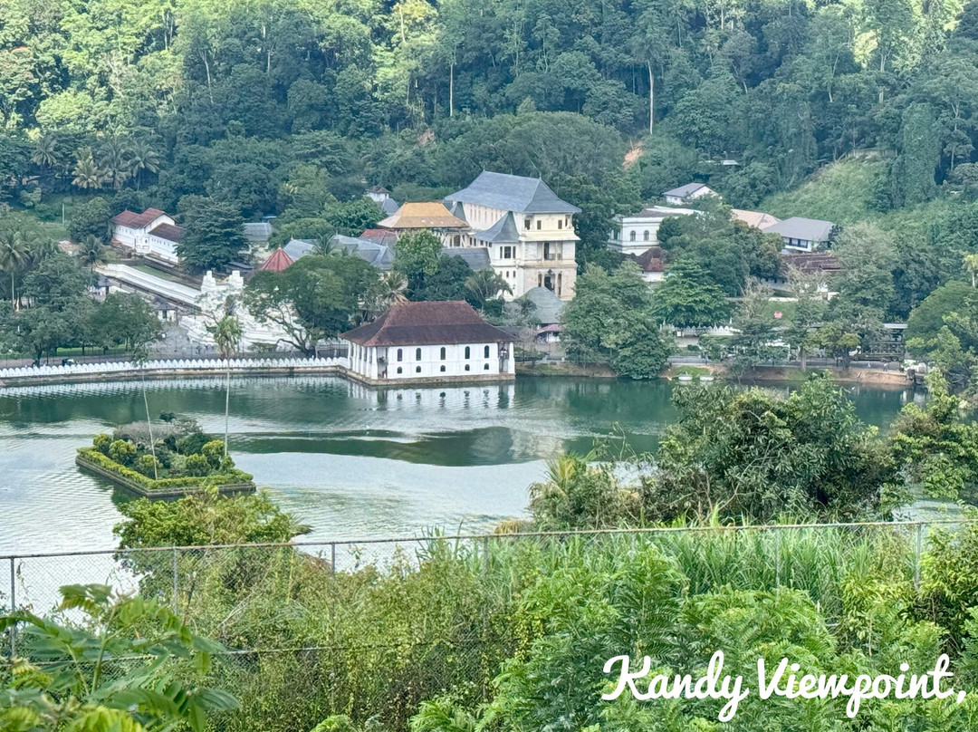 C-Lanka Tours & Travels-科伦坡必去景点