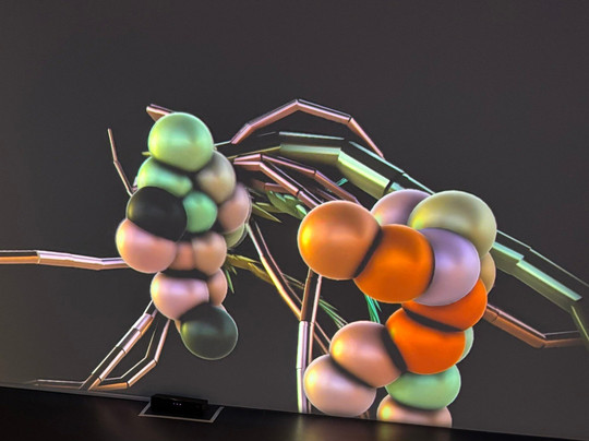 Poole Museum-普尔必去景点