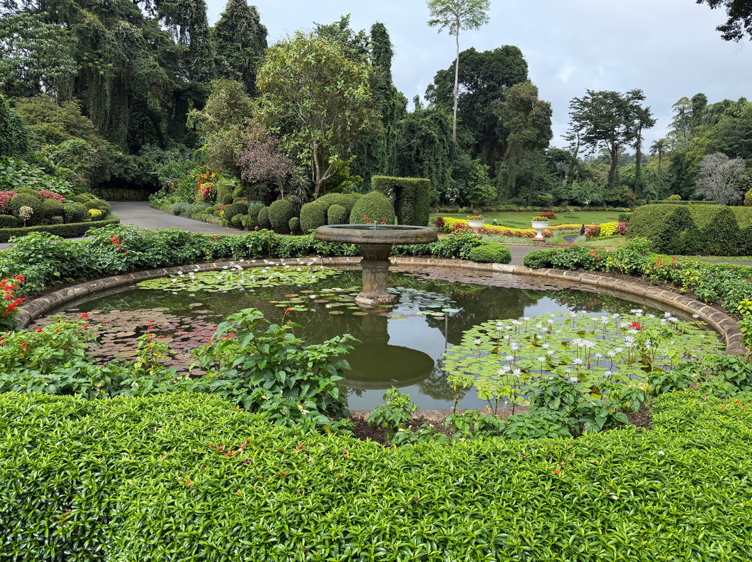 Rangi Tours-瓦都瓦必去景点