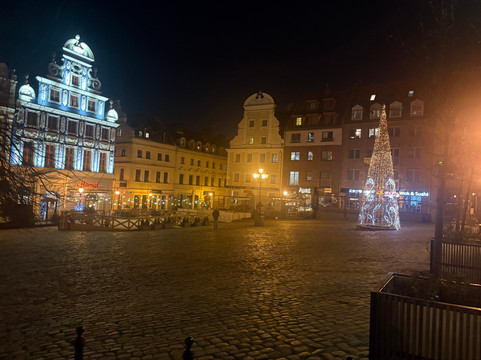 什切青福克斯大酒店