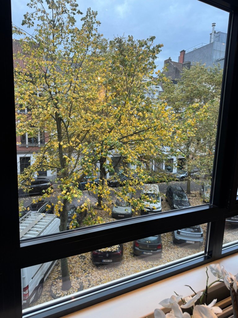 卡尔顿酒店-官方