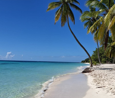 Franconero Escursioni-Bayahibe必去景点