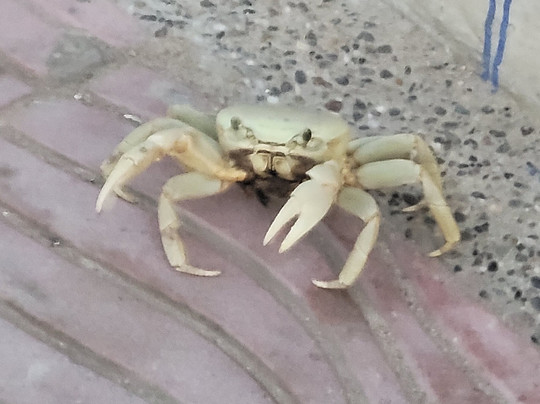 Tours Ramiro Vanegas-Riohacha必去景点