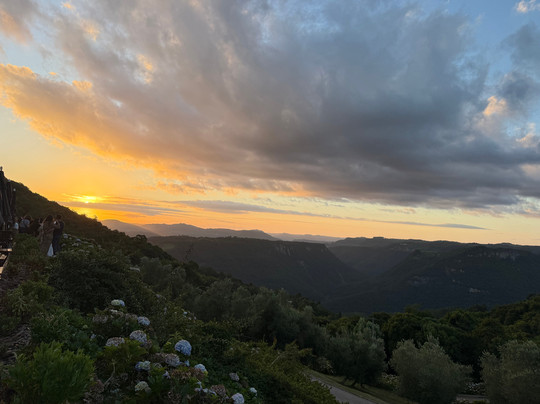 Parque Olivas de Gramado-格拉玛多必去景点
