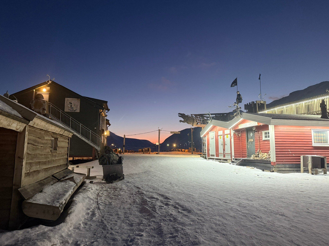 Green Dog Svalbard-朗伊尔城必去景点