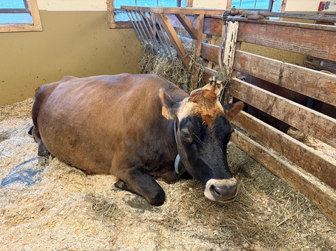 Billings Farm & Museum-伍德斯托克必去景点