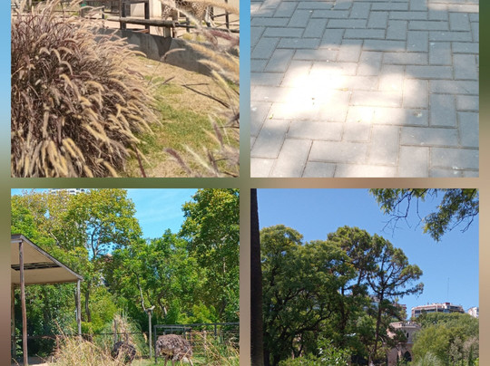 Eco Parque-布宜诺斯艾利斯必去景点