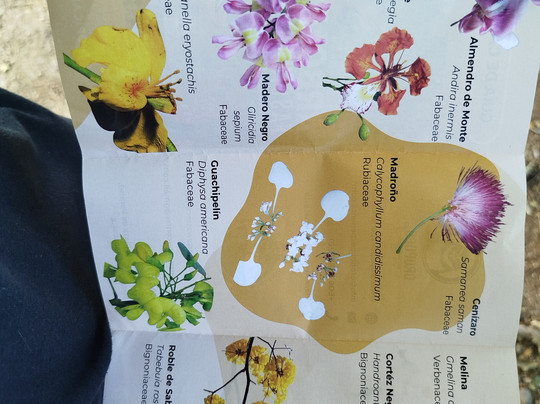 Oropopo Experience-圣何塞必去景点