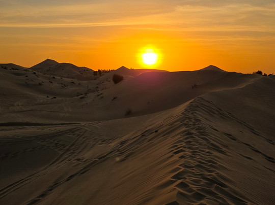 Desert Team Tourism-迪拜必去景点