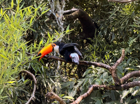 Gramadozoo-格拉玛多必去景点