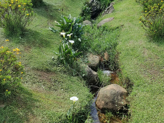 Chathu Lanka Tours-康提必去景点
