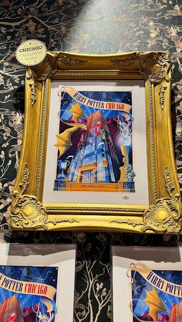 Harry Potter Shop Chicago-芝加哥必去景点