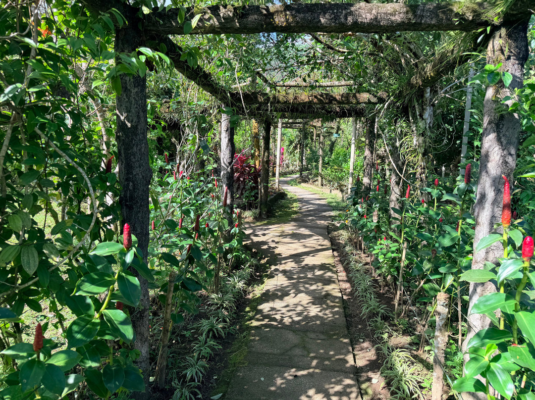 Balay Buhay Sa Uma Bee Farm-Bulusan必去景点