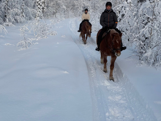 Off-Piste Adventures-Kemijarvi必去景点