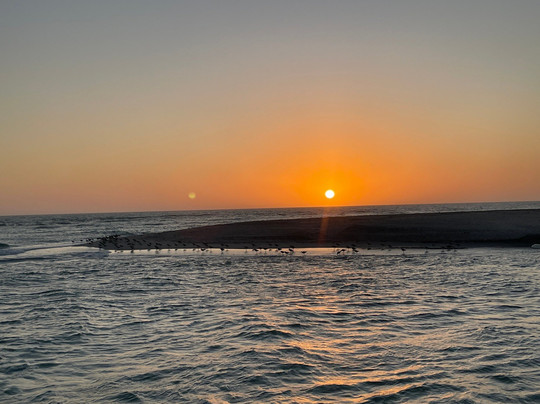 Gasparilla Boat Tours-恩格尔伍德必去景点