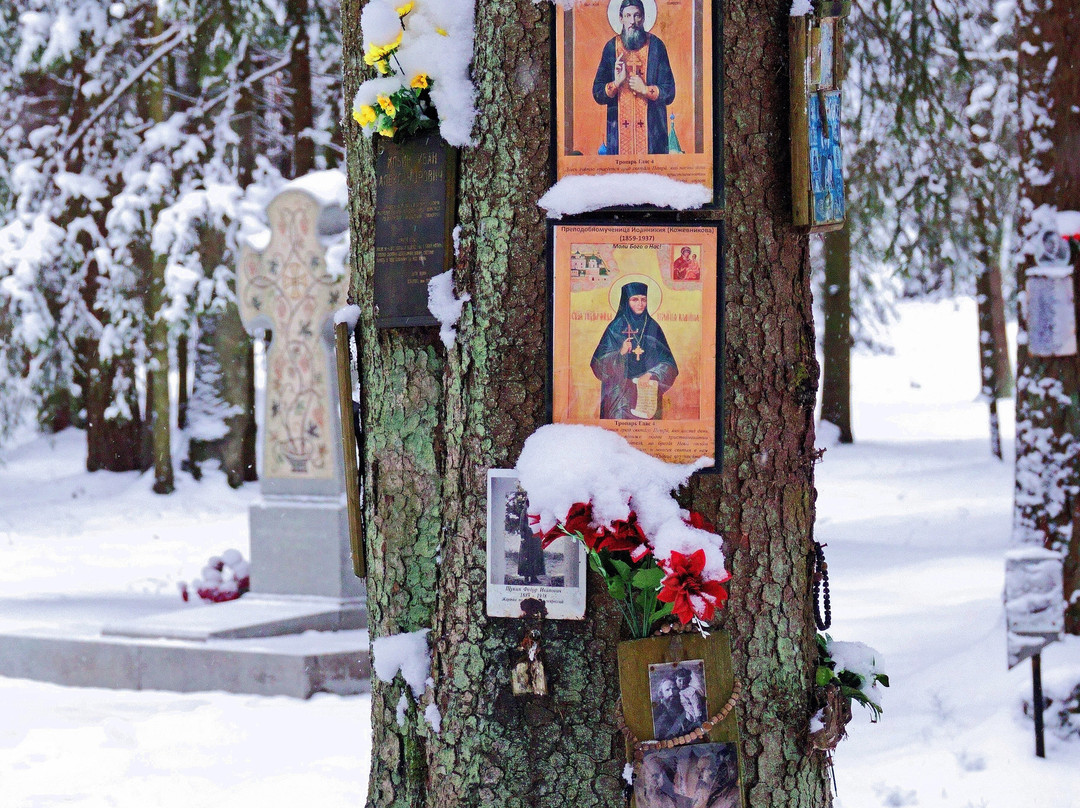 Levashovskaya Heathland Museum-圣彼得堡必去景点