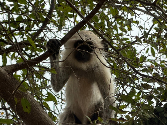Cycling in India-新德里必去景点