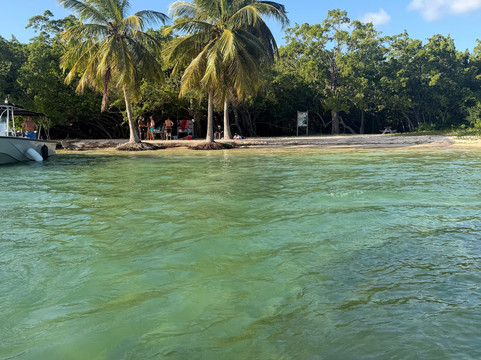 Mangrov La Ka-Port-Louis必去景点