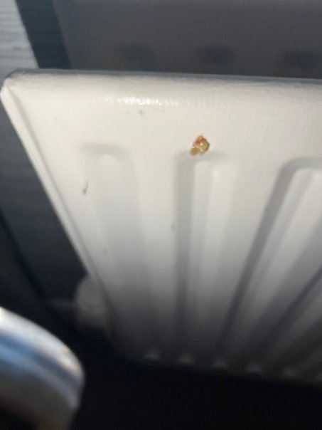 斐里卡里格酒店-官方