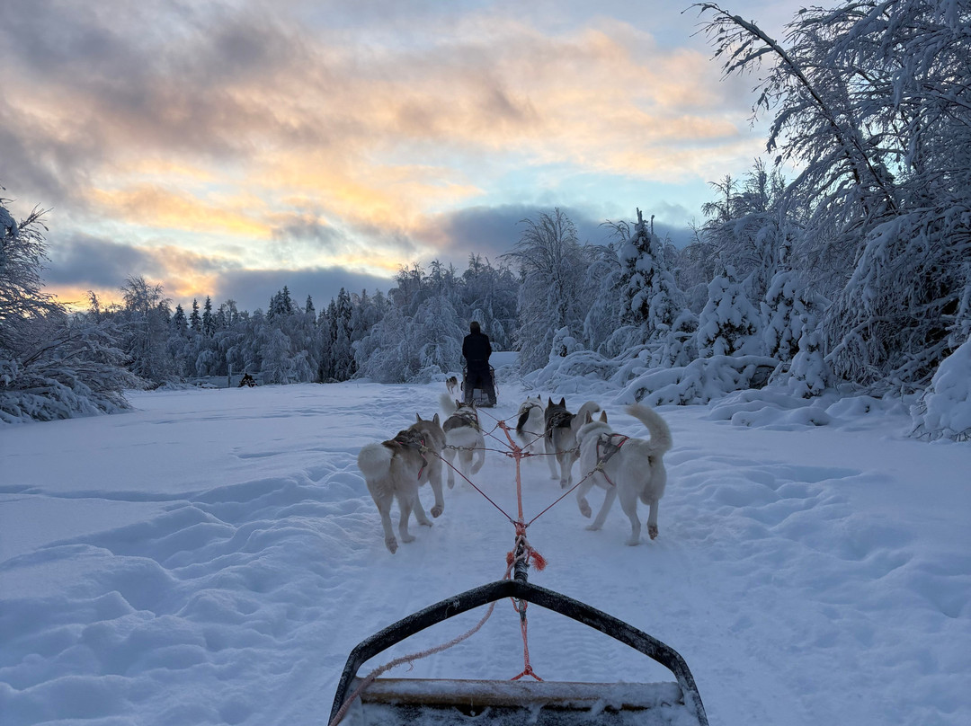 Wolf Trail-罗瓦涅米必去景点
