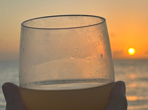 Captain Dwayne Barbados / Livity Cruises-巴巴多斯必去景点