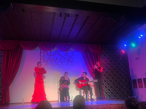 Palacio Flamenco Granada-格拉纳达必去景点