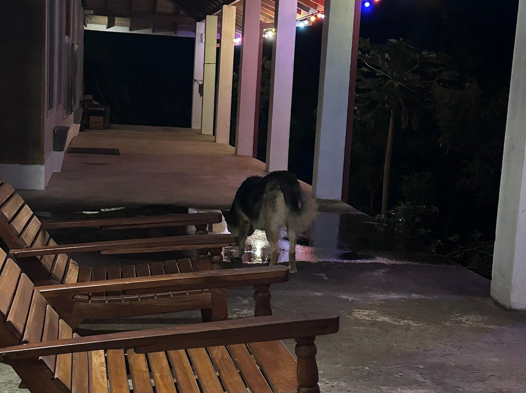 Sandalwood Valley-Leisure Bug Sri Lanka Tours & Home Stay主图