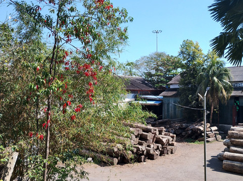 Chatham Saw Mill-布莱尔港必去景点