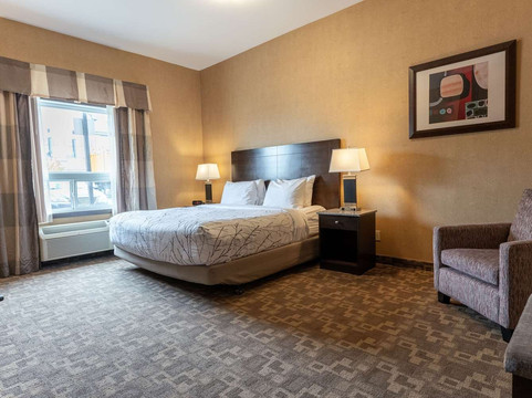 南埃德蒙顿贝斯特韦斯特优质套房酒店