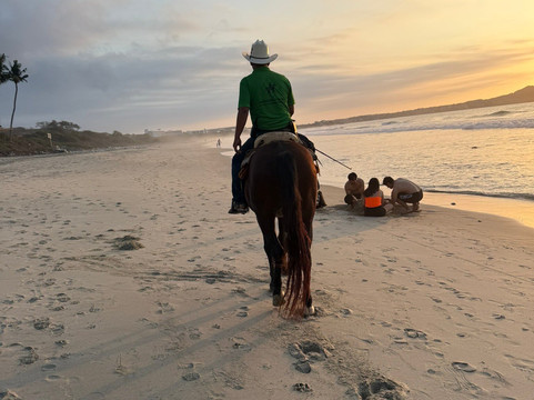 Monkey Mountain-利他必去景点
