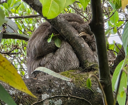 Oropopo Experience-圣何塞必去景点