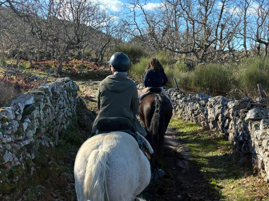 Caballos de Marvão-Santo Antonio Das Areias必去景点