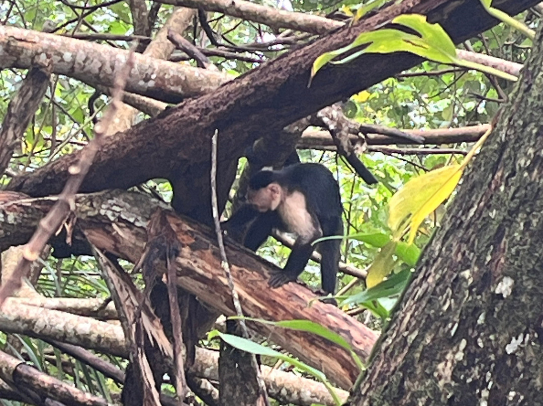 Manuel Tour Guide-卡维塔必去景点