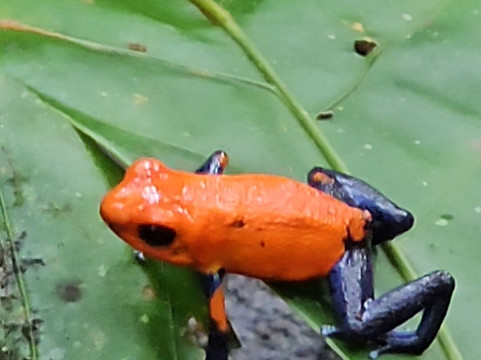 Brisas del Rio主图