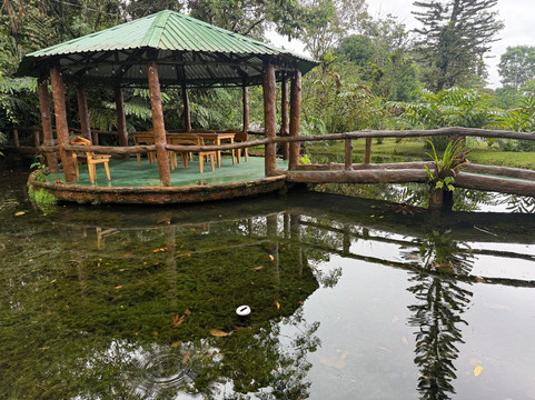 La Finquita Farm - Farm To Table