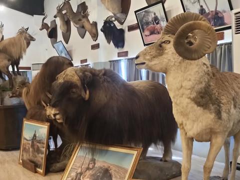 Baluarte Zoo-维甘必去景点